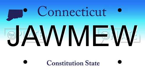 JAWMEW Connecticut License Plate