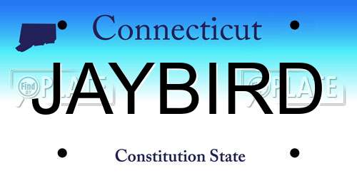 JAYBIRD Connecticut License Plate