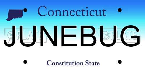JUNEBUG Connecticut License Plate