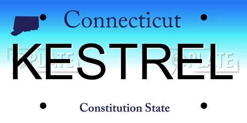 KESTREL Connecticut License Plate