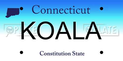 KOALA Connecticut License Plate