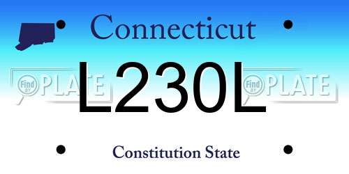 L230L Connecticut License Plate