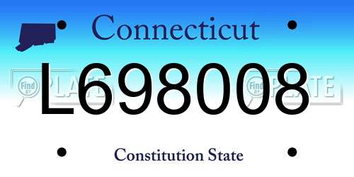 L698008 Connecticut License Plate