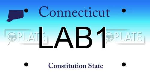 LAB1 Connecticut License Plate