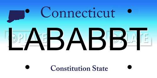 LABABBT Connecticut License Plate