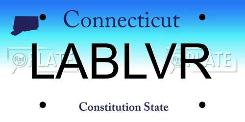 LABLVR Connecticut License Plate