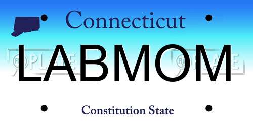 LABMOM Connecticut License Plate