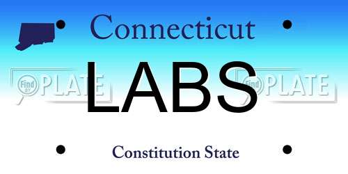 LABS Connecticut License Plate