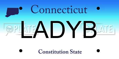 LADYB Connecticut License Plate