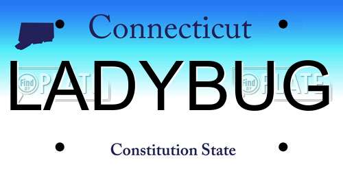 LADYBUG Connecticut License Plate