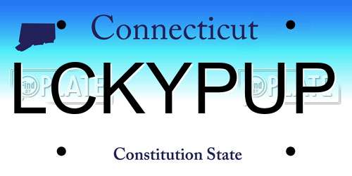LCKYPUP Connecticut License Plate