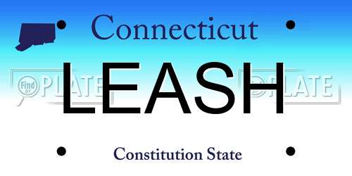LEASH Connecticut License Plate