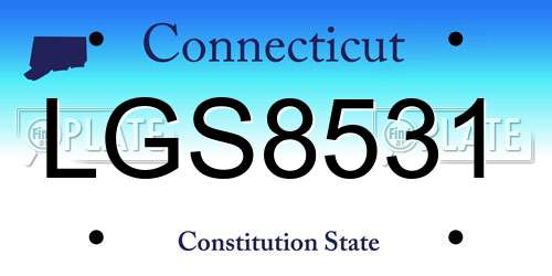 LGS8531 Connecticut License Plate