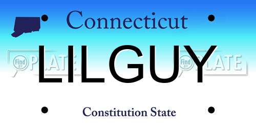LILGUY Connecticut License Plate