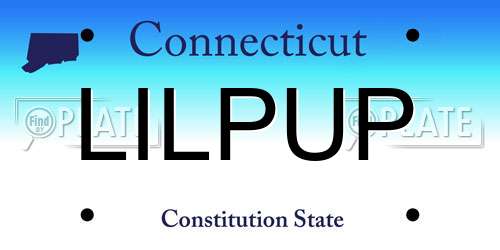 LILPUP Connecticut License Plate
