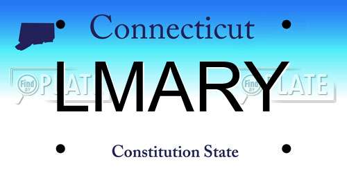 LMARY Connecticut License Plate