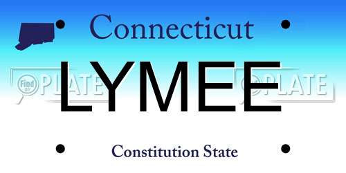 LYMEE Connecticut License Plate