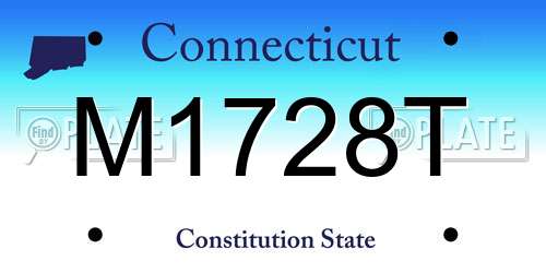 M1728T Connecticut License Plate