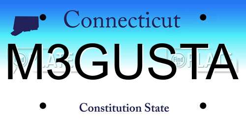 M3GUSTA Connecticut License Plate