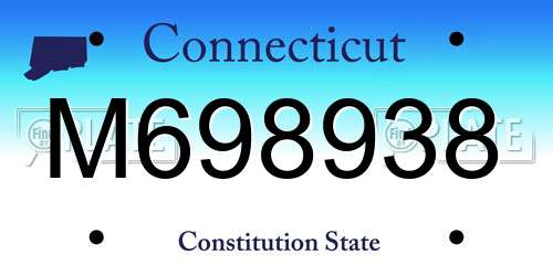 M698938 Connecticut License Plate