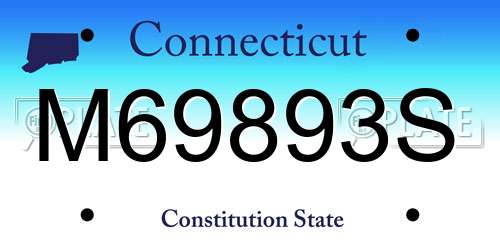 M69893S Connecticut License Plate