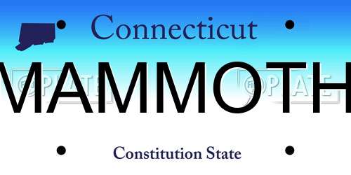 MAMMOTH Connecticut License Plate