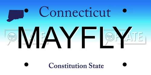 MAYFLY Connecticut License Plate