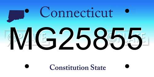 MG25855 Connecticut License Plate