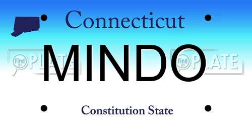 MINDO Connecticut License Plate