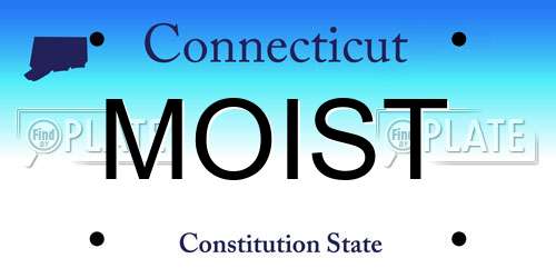 MOIST Connecticut License Plate