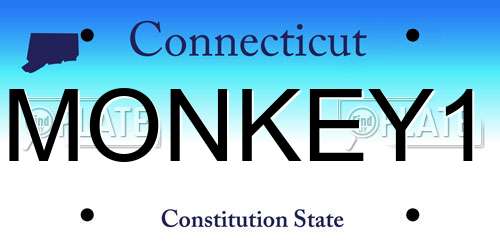 MONKEY1 Connecticut License Plate