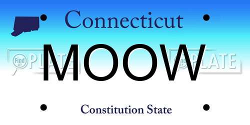 MOOW Connecticut License Plate