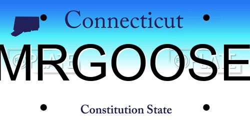 MRGOOSE Connecticut License Plate