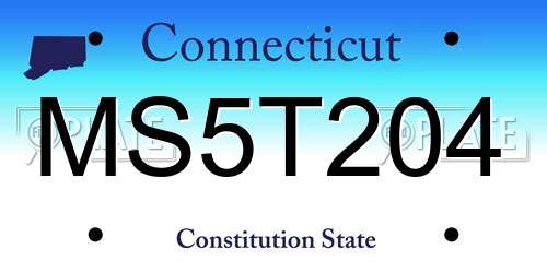 MS5T204 Connecticut License Plate
