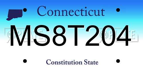 MS8T204 Connecticut License Plate