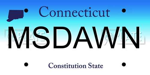 MSDAWN Connecticut License Plate