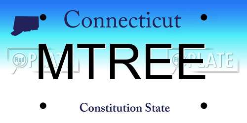 MTREE Connecticut License Plate