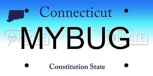 MYBUG Connecticut License Plate