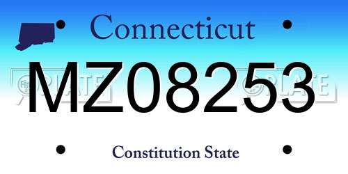 MZ08253 Connecticut License Plate
