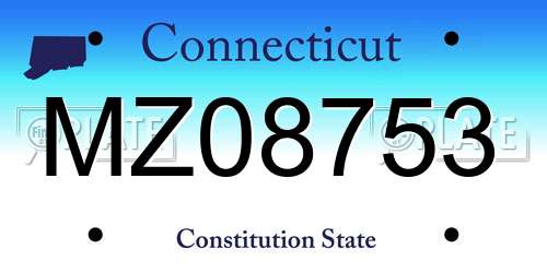 MZ08753 Connecticut License Plate