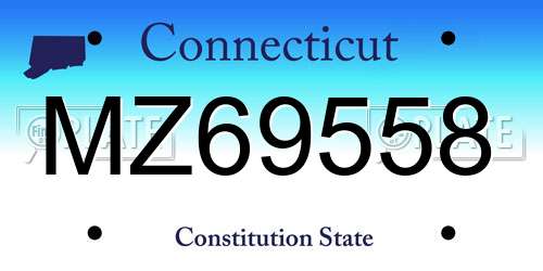 MZ69558 Connecticut License Plate