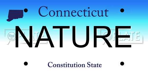 NATURE Connecticut License Plate