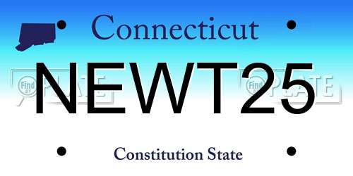 NEWT25 Connecticut License Plate