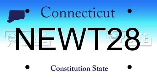 NEWT28 Connecticut License Plate