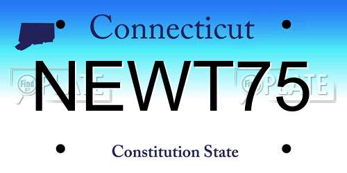 NEWT75 Connecticut License Plate