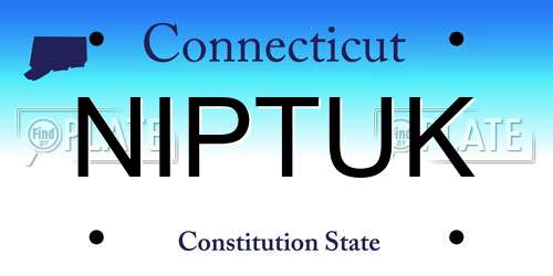 NIPTUK Connecticut License Plate