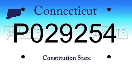 P029254 Connecticut License Plate
