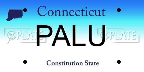PALU Connecticut License Plate