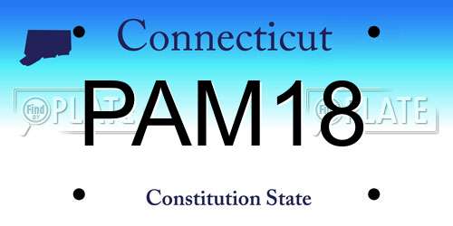 PAM18 Connecticut License Plate