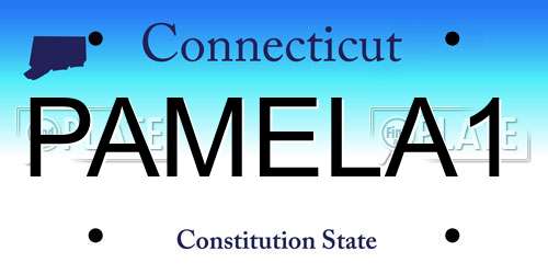 PAMELA1 Connecticut License Plate